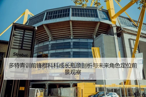 多特青训前锋穆科科成长瓶颈剖析与未来角色定位前景观察